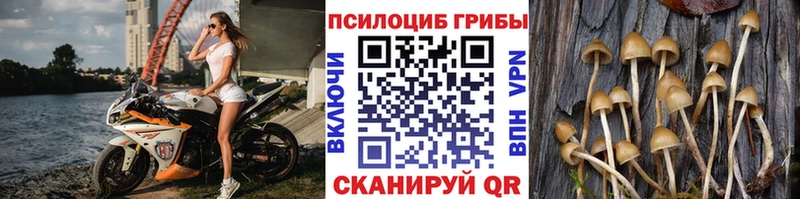 Галлюциногенные грибы Magic Shrooms  Купить  Гремячинск 